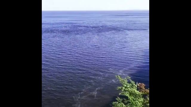 Красота родной природы смотреть онлайн