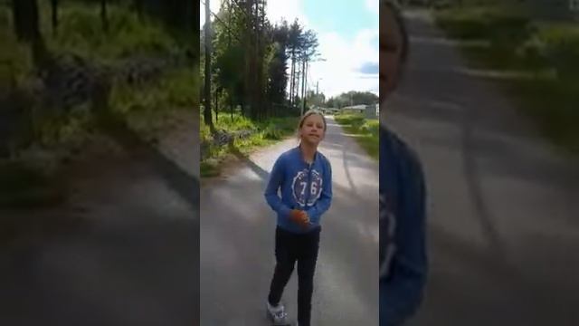 Цвергпинчер Алиса выполняет команды) смотреть онлайн