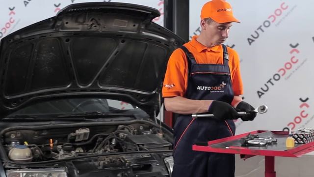 Cómo cambiar las bujía SKODA FABIA 6Y Tutorial | Autodoc смотреть онлайн