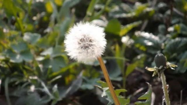 Fujifilm finepix S2500HD sample photos смотреть онлайн