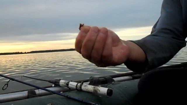 В полнолуние за карасем (озеро Мыркай, июль 2017). смотреть онлайн