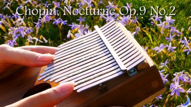 Nocturne Op.9 No.2, Chopin - 1 Hour Relaxing Kalimba 칼림바 смотреть онлайн