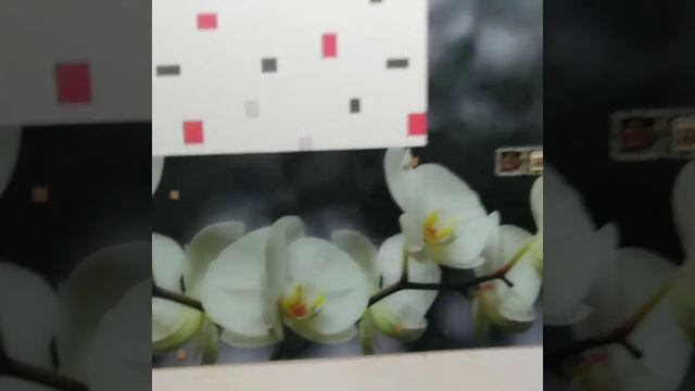 Скинали установка до кухни смотреть онлайн