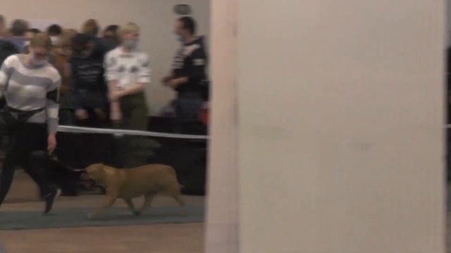 00140 юн 2 Ин смотреть онлайн