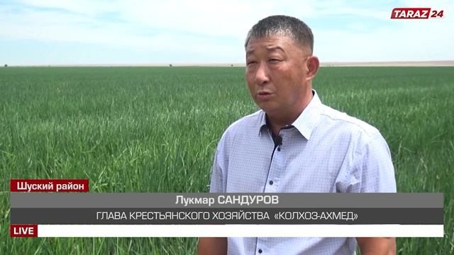 РАЗВИТИЕ КРЕСТЬЯНСКОГО ХОЗЯСТВА В ШУ смотреть онлайн