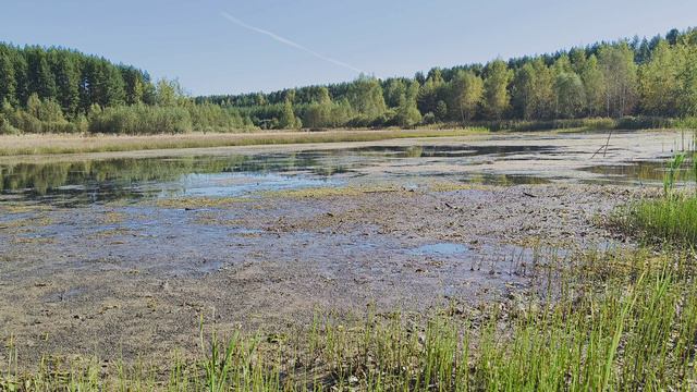 Болото. ч.3. Сентябрь 2024 смотреть онлайн