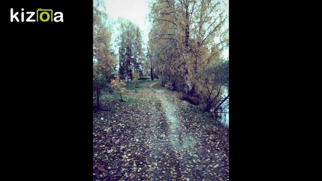 Слайд-шоу: Золотая осень смотреть онлайн