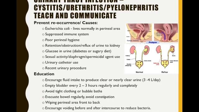 B3 Urinary Problems Voiceover смотреть онлайн
