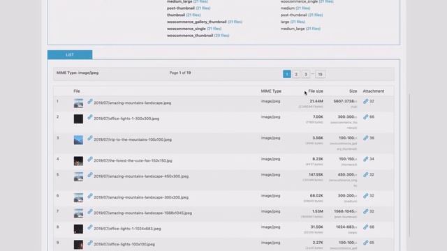 Uploads Inspector - Premium WordPress Extension for Image Regenerate & Select Crop Plugin смотреть онлайн