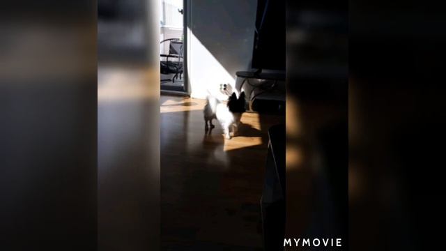 Kaaleet Rainer friman смотреть онлайн