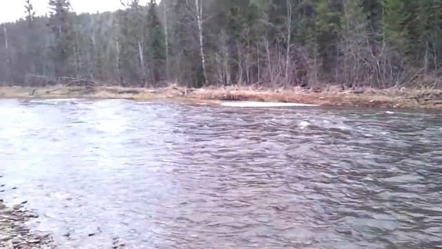 Вижай 2012 смотреть онлайн