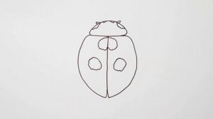 Как нарисовать божью коровку — учимся рисовать насекомых шаг за шагом