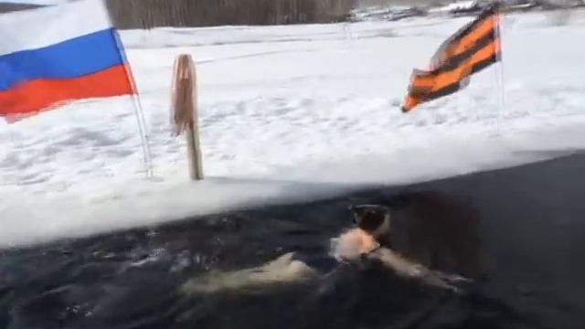 Моржи. Ленинск. Миасс. 2016 смотреть онлайн