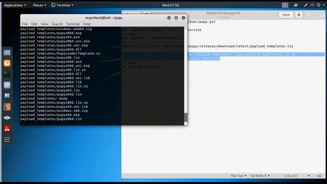 Instalación configuración de Pupy RAT (Remote Administration Tool) creación de payloads смотреть онлайн