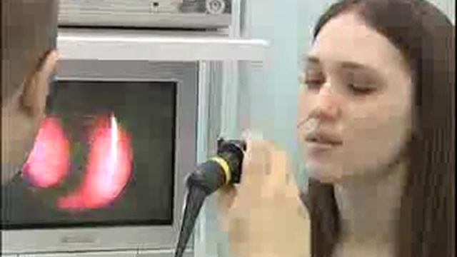 Осторожно, домашние клещи!