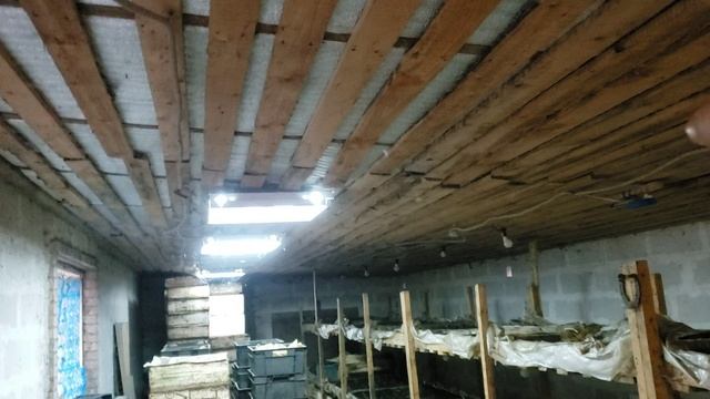 Уменьшаю обьем червя.Половину сарая под жилье. смотреть онлайн