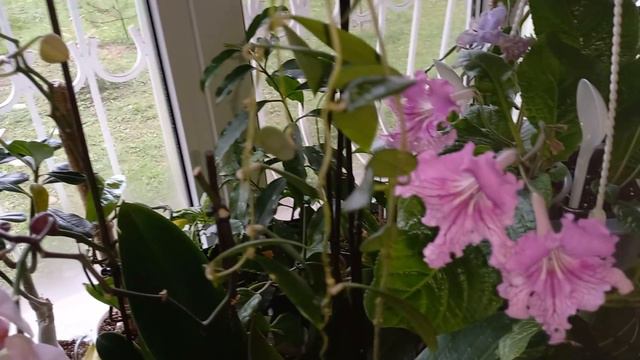 💙💛 Добрий день, ми з Запорiжжя!💙💛 Здравствуйте, мы из Запорожья! смотреть онлайн