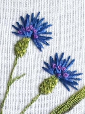 Вышиваем ВАСИЛЕК