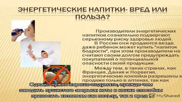 Кошка в доме - польза или вред? смотреть онлайн