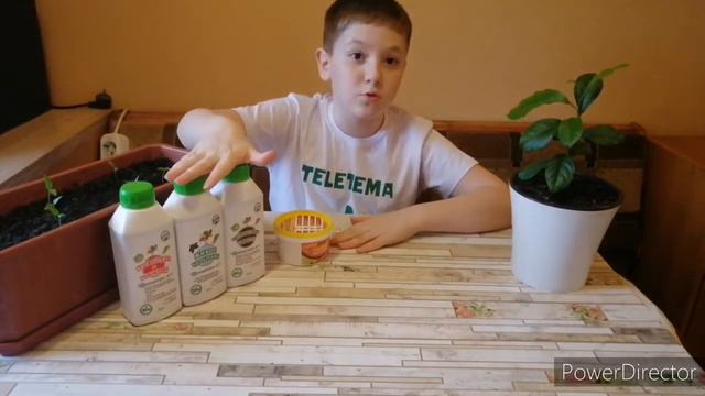 Удобрение для рассады и растений ЭкоДачник 500