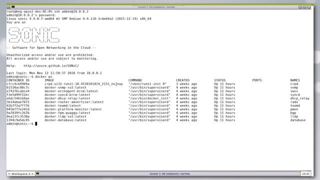 Implementing Juniper Routing on Servers and SONiC-based Switches in Docker Containers смотреть онлайн