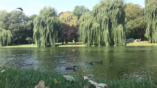 Kielce . Polska. Кельце (Польща) Podrozh. Подорож. Travel .World. Liroy. смотреть онлайн