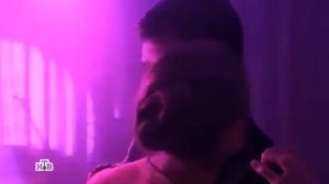 Степные волки Катя и Иван