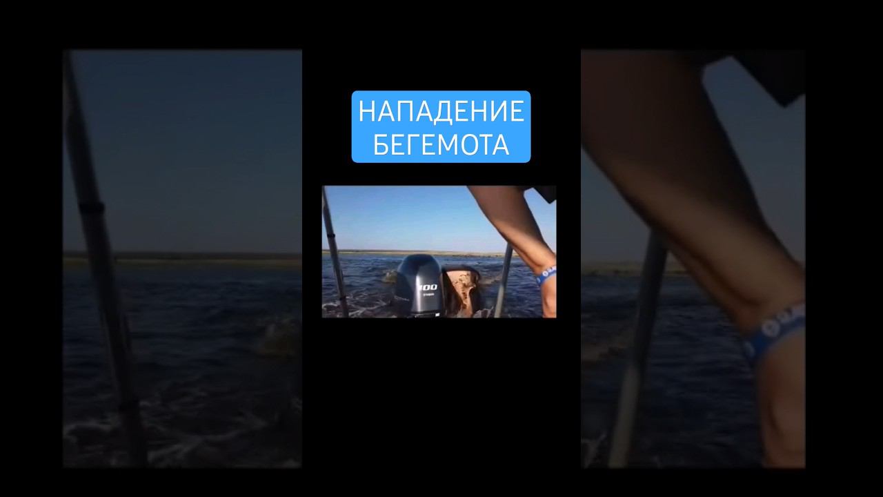 Бежит быстрее лодки смотреть онлайн