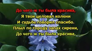 Валерий Залкин   Одинокая Ветка Сирени караоке