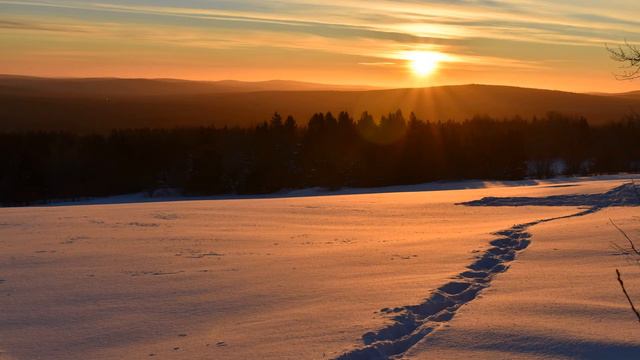 Max Bruch: Violin Concerto No.1 in G minor, Op.26 - II. Adagio - Itzhak Perlman - Bernard Haitink смотреть онлайн