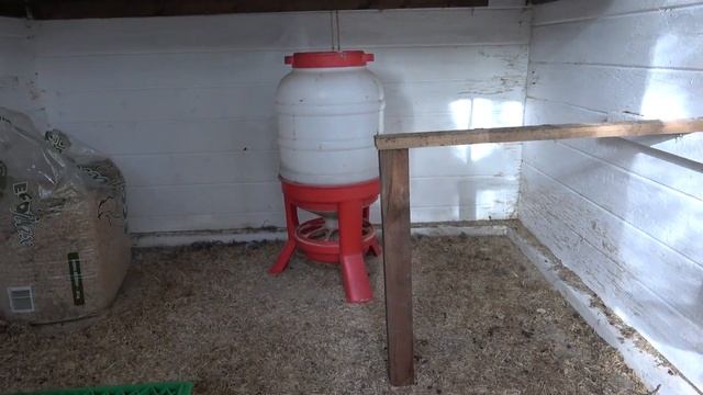 Hühner Rundgang Oktober 2023 - Hühnerrassen, Stall, Auslauf und Projekte смотреть онлайн