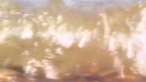 группа РЕЙНДЖЕР - Белый парус