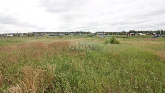 11382889 смотреть онлайн