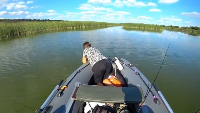 fun video compilation смотреть онлайн