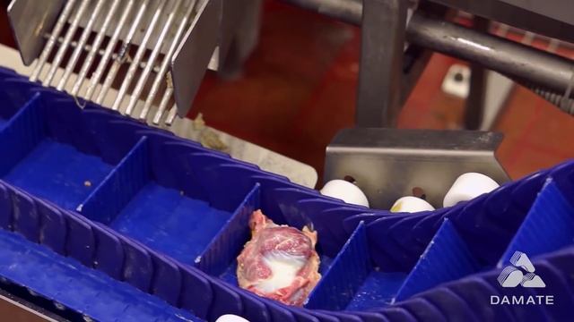 Завод по убою и выращиванию индейки: ГК "Дамате" и "Экспресс Групп" смотреть онлайн