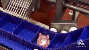 Завод по убою и выращиванию индейки: ГК "Дамате" и "Экспресс Групп"