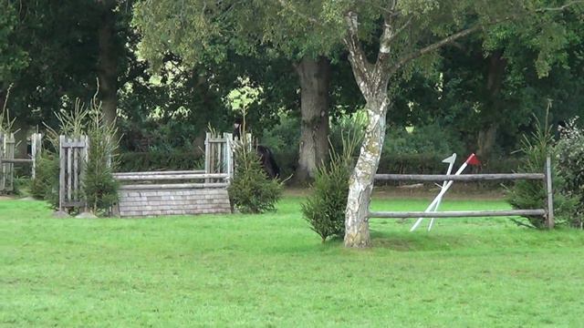 The Brereton Small Hack Class At The Royal International Horse Show 2017 video 4 смотреть онлайн