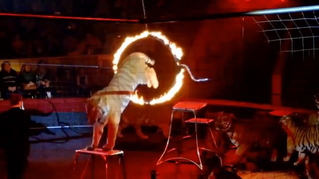 Поздравление спасателей Гродненщины смотреть онлайн