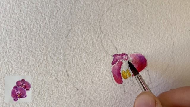 6 Серединка орхидеи смотреть онлайн