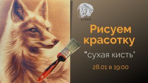 Рисуем лису - сухой кистью