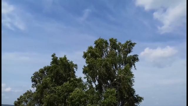 Движение воздуха смотреть онлайн