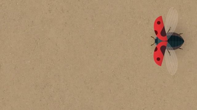 ИГРА ДЛЯ КОШЕК ? GAME FOR CATS ? SCOTTISH FOLD KITTEN ?