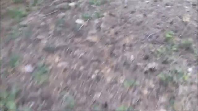 за грибочками фроловский район смотреть онлайн