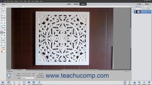 Photoshop Elements 2021 Tutorial Using the Paint Bucket Tool Adobe Training смотреть онлайн
