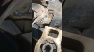 замена заднего саленблока переднего рычага тигуан