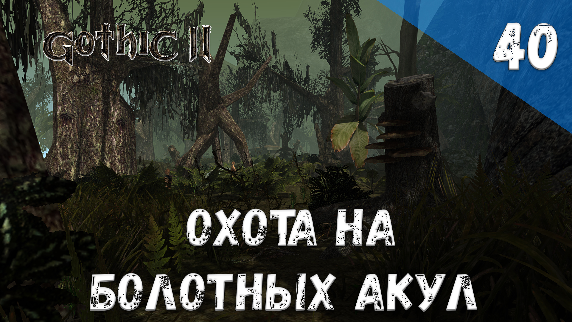 Gothic 2 Ночь Ворона - Прохождение #40 Охота на болотных акул смотреть онлайн