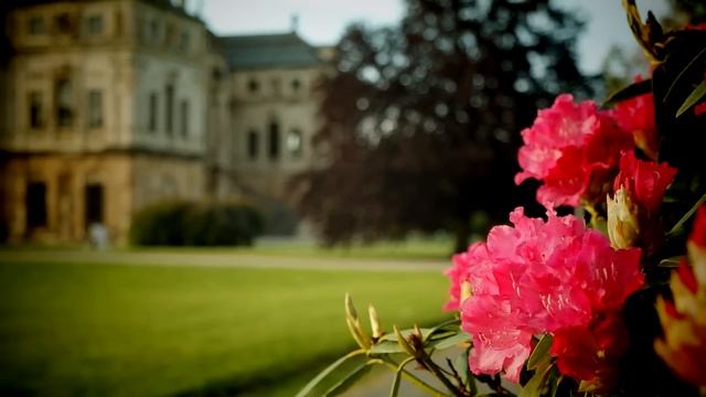 Спрятав от охотников огромного медведя маленькая девочка получила в награду то, о чём и не мечтала