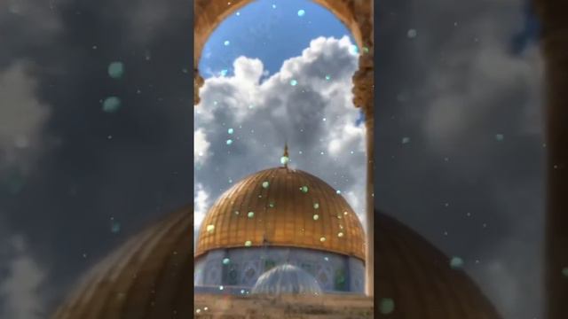 #soorat #video # Allah masjide al aksa ki hifazat farma aamin summa aameen # please subscribe # смотреть онлайн