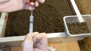 ОПЫТ! Влияние глистогонных препаратов на дождевых червей