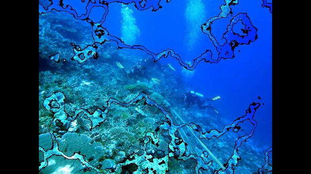 Reef Cleaning Action, Addu Atoll смотреть онлайн